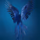 Bluewings88