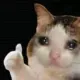 CHOKEME