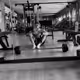 Joao_Reis