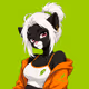 RobinCat_