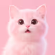 vzdbvaw