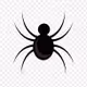 Spider79