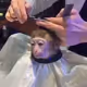 MageMonke