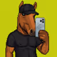 Horsekvault