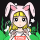 TEMO_2022