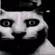 milesnormaldude