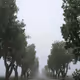 runawaybride4
