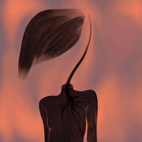OpenSea profile picture for @vessels