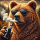 Bear2025