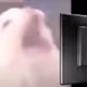 Derude