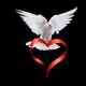 PEACETOALL