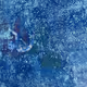 Cassieneal2