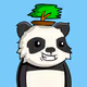 oaktreebonsai