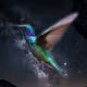 poetronica