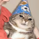 zhmltn