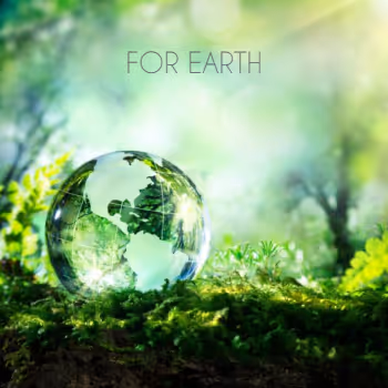 OpenSea profile picture for @EARTH