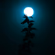 Moon-light84