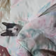 HUDA_TAMIMI