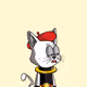 strayz-com-dev
