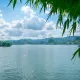 daoshan