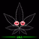 MrGanja