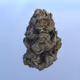 MoreWeed