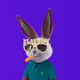 NikitaZero