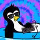 SnoopCryptoWalks