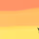 0x4aba587ca168388c82a4e11cb28bfc9692fb2242