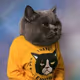 mintzyed