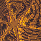 0x4ae9722124359e773cda689e04d25315eae4773c