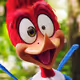 WoodyChadson