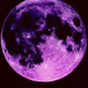 purplemoon