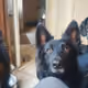 tino123