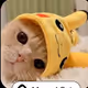 edfsgf