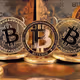 Crypto-Cryptonew