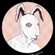 RabFromBorderRabbit