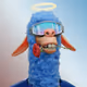 Alsohere