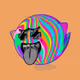 El-Presidente-