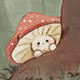 mushroom24