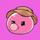 janestik