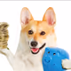 LuckyDogi