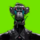 HODLNFT-