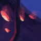 pedz4