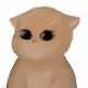 shol_so