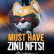 ZINU-AARON24
