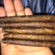 NiFTNATEE