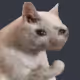 3765558689