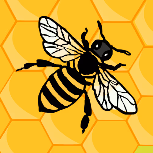 OpenSea profile picture for @Bees
