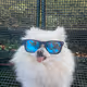 DeckHardy